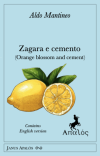 Zagara e cemento/Orange blossom and cement
